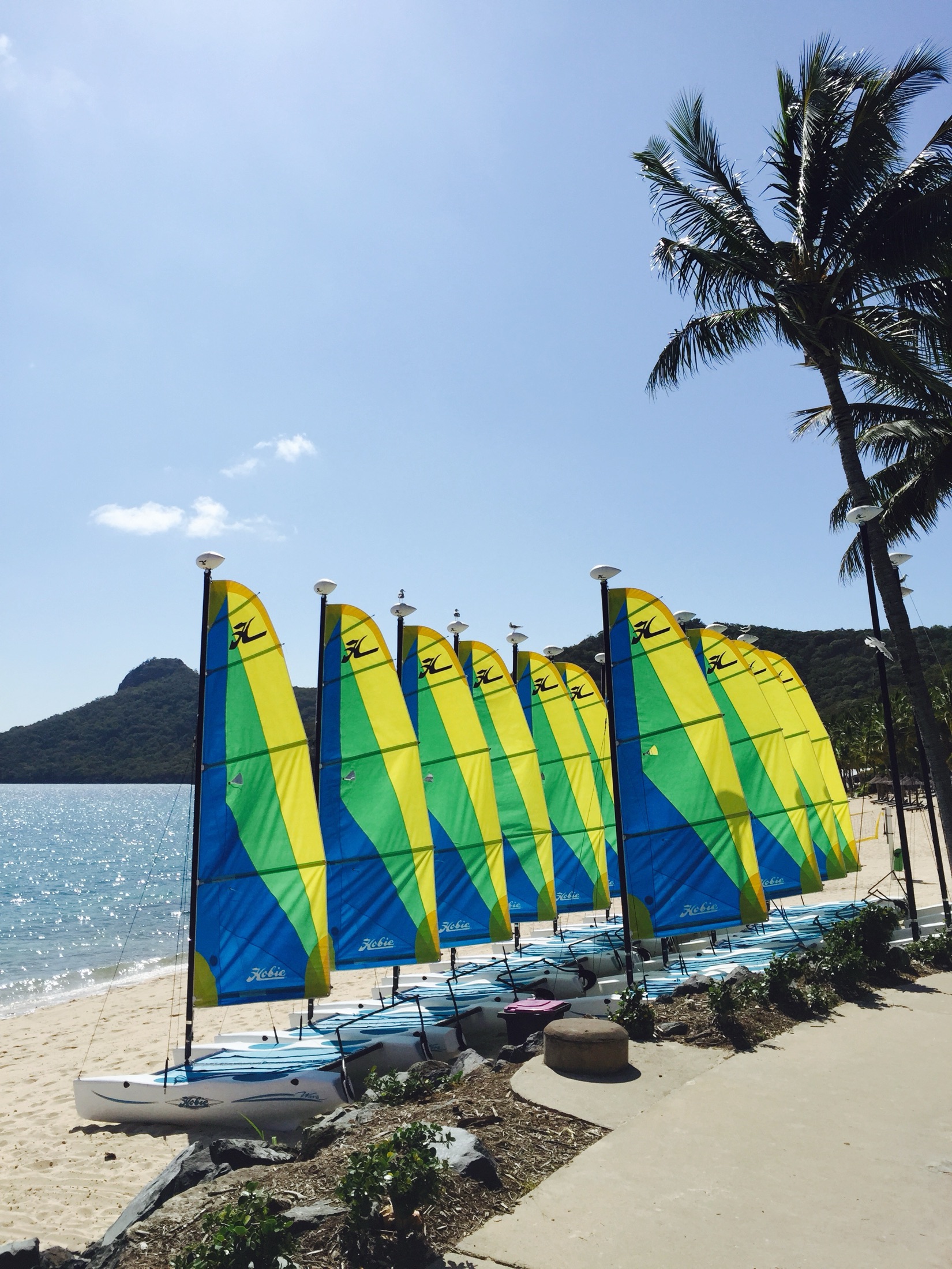 Sailing craft lined up on a tropical island beach